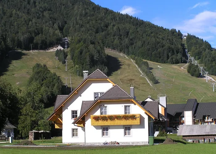 Apartmaji Mlinar アパート